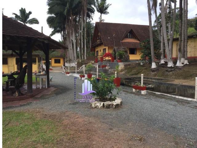Excelente Sítio com 02 casas p/morar COD. 84 - Foto 12