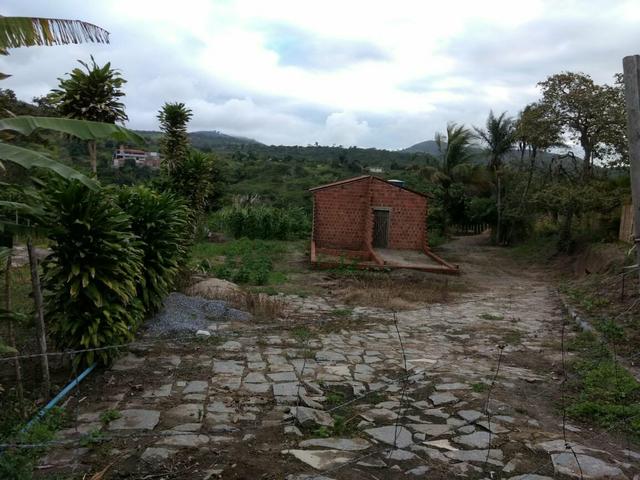 Terreno no Muricy - Foto 7