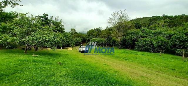 Fazenda a venda antonina com 105,2 alqueires, casa sede em 3 pavimentos, com grande capaci - Foto 9