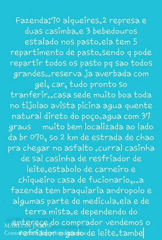 Fazenda próximo a Aragarças e 30 km de Ponte Alta para gado e lazer! - Foto 17
