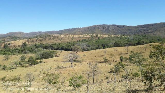 Fazenda Cultura entre Goiás e Mossamedes! - Foto 6