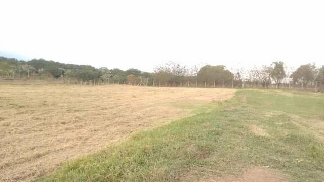 Vendo chácara na Colônia do Piagui em Guaratinguetá SP - Foto 3