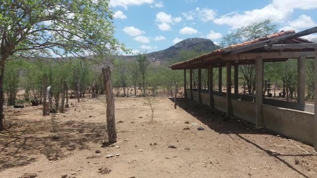 Excelente propriedade de 828 hectares, em Santa Cruz do Capibaribe - Foto 5