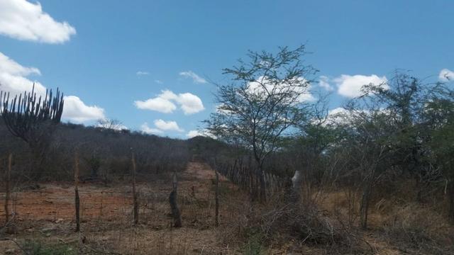 Excelente propriedade de 828 hectares, em Santa Cruz do Capibaribe - Foto 19
