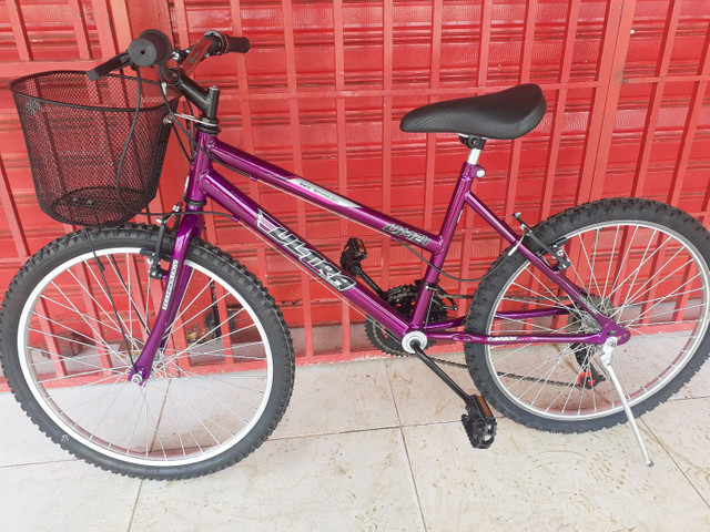 Bicicleta aro 24 feminina olx Clearance