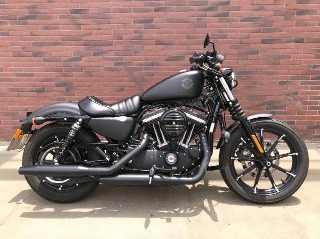 harley davidson iron olx