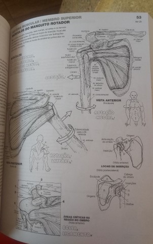 Anatomia - Um Livro Para Colorir - Foto 4