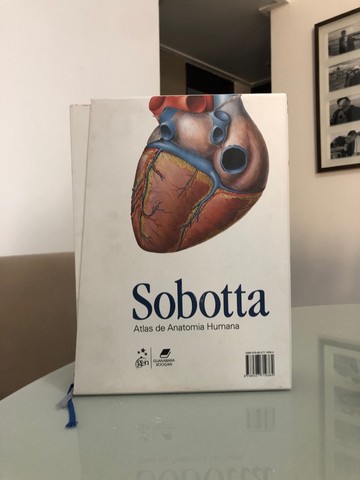 Livro anatomia humana Sobotta 23ª edição