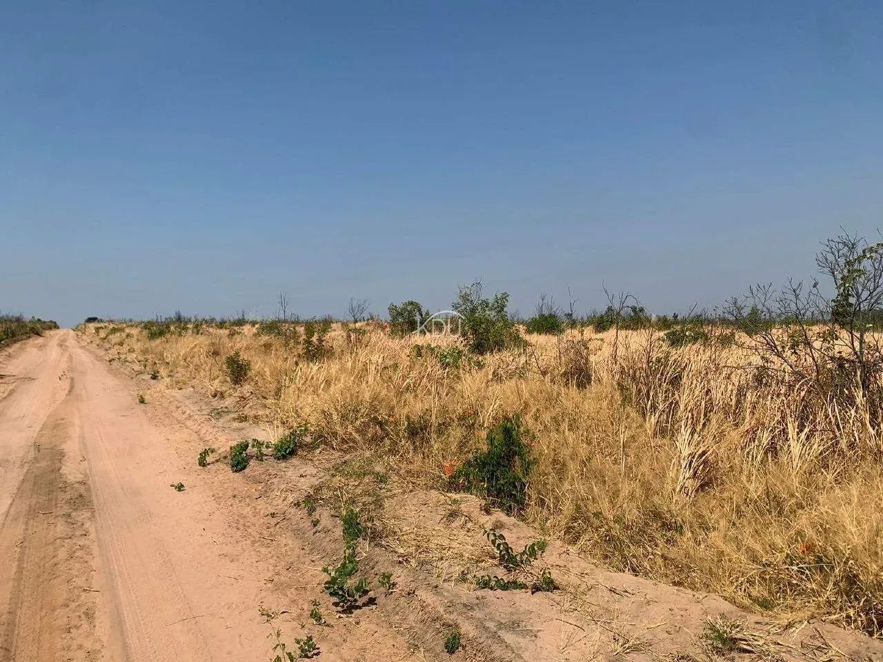 VENDO FAZENDA NO MUNICIPIO DE PARANATINGA. 1.000 HECTARES - Foto 2