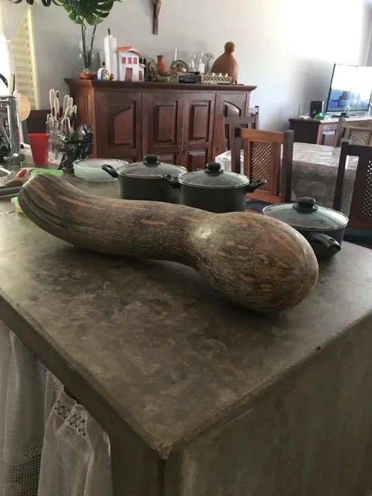 SÍTIO RANCHO PARAÍSO COM BEIRA DE RIO ARICÁ - Foto 5