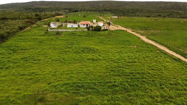Fazenda em Morro do chapeu