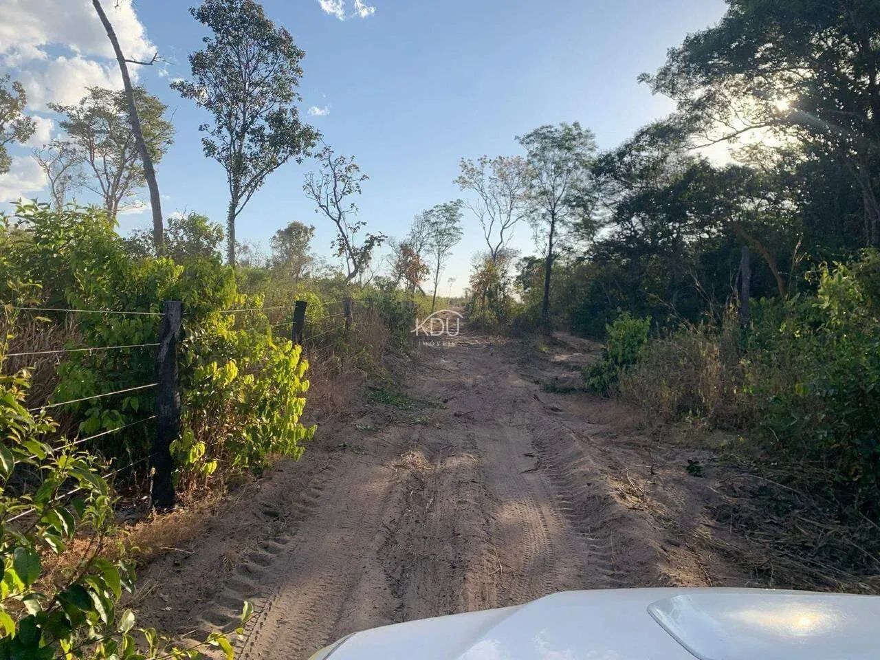 VENDO FAZENDA NO MUNICIPIO DE PARANATINGA. 1.000 HECTARES - Foto 4
