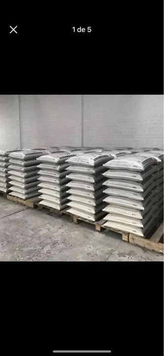 Sementes de grama Pensacola  - Foto 4