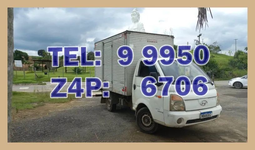 Frete manhã, tarde e noite {LS Transportes)