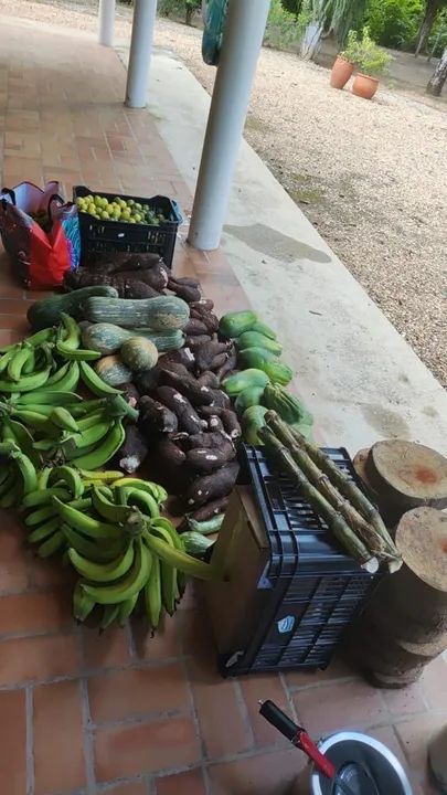 SÍTIO RANCHO PARAÍSO COM BEIRA DE RIO ARICÁ - Foto 7