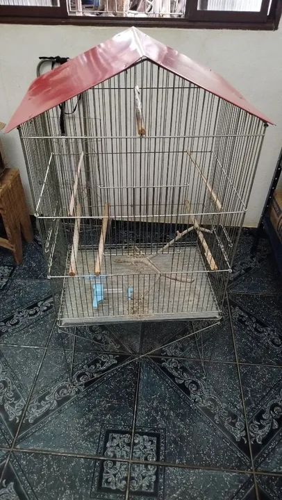 Gaiola para calopsita e periquito 