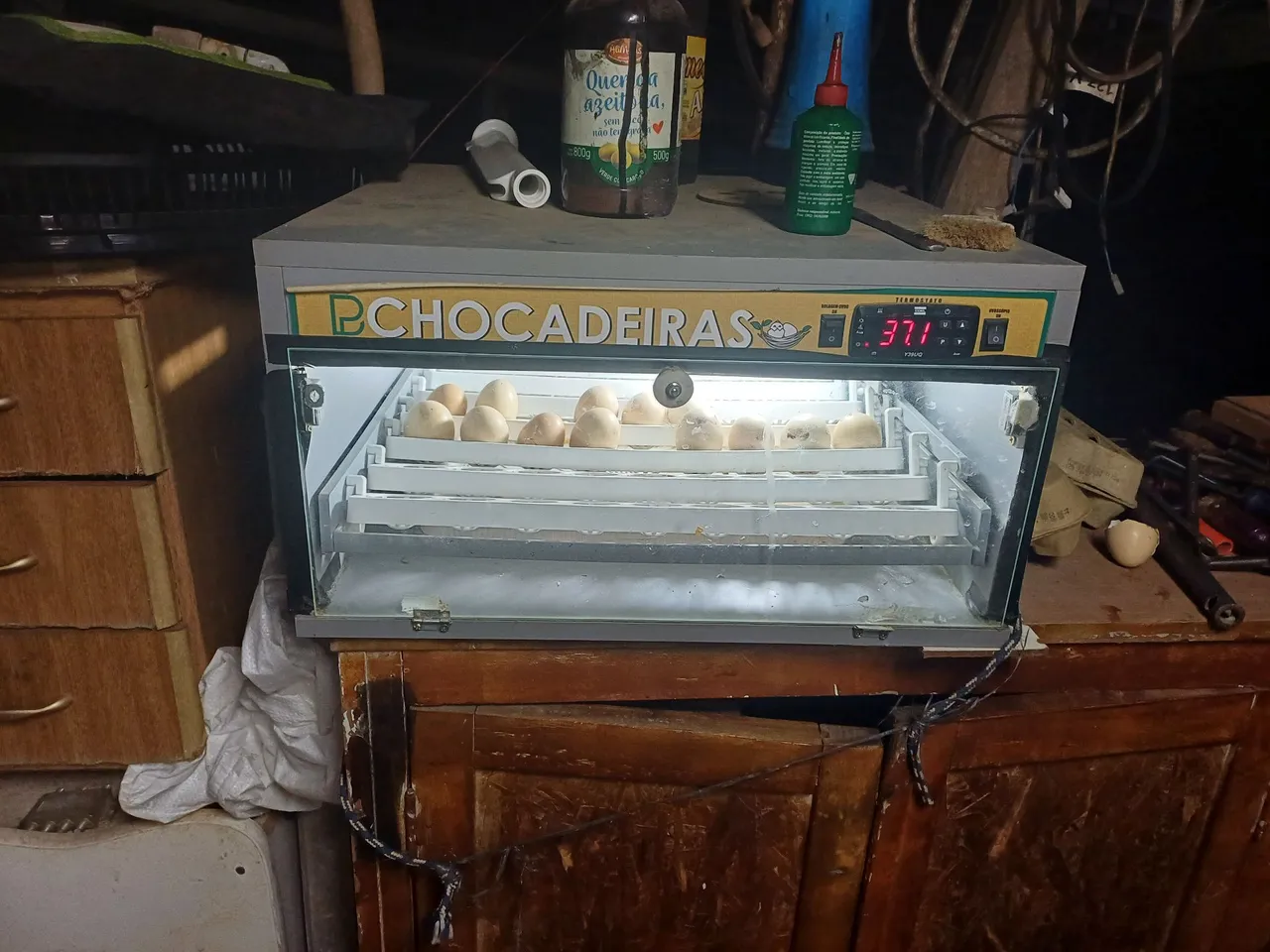 Vendo chocadeira  pra 5 dúzias  d ovos 