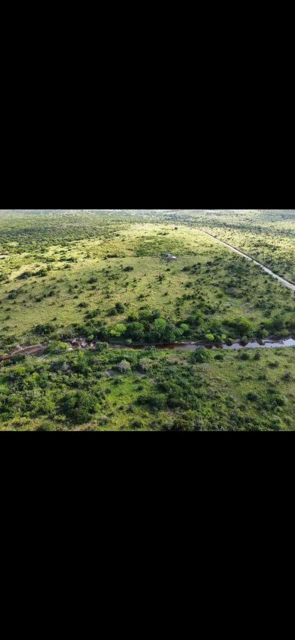 Fazenda 98 Tarefas Brejões-BA Excelente Terreno Oportunidade Negócio Rural roça - Foto 5
