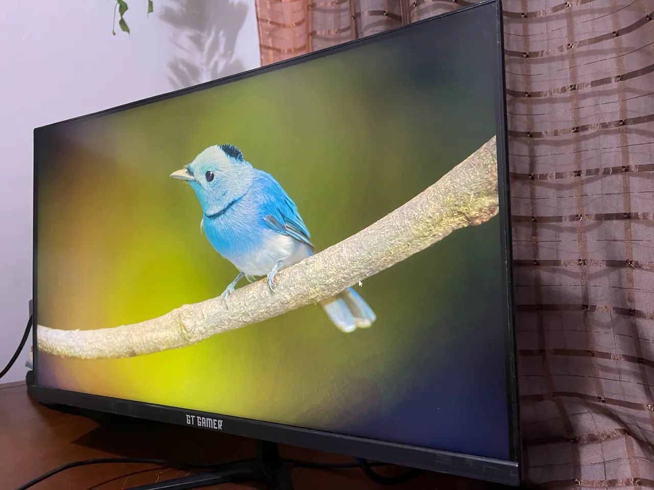 MONITOR GT GAMER 24 POLEGADAS 75 HZ - Foto 2