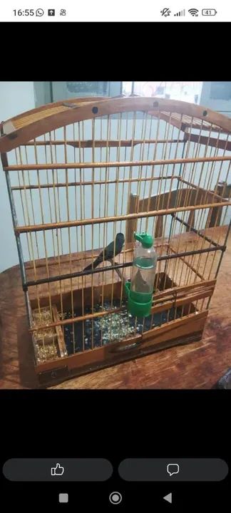 Para vender ligeiro aí bom de verdade - Foto 2