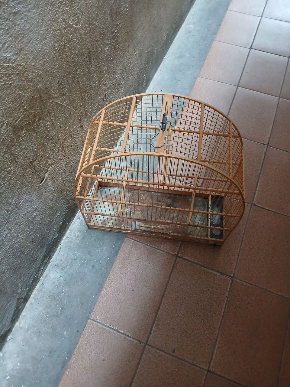 Gaiola 64304559797634120