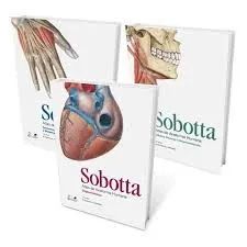 Sobotta: Atlas de Anatomia Humana - 3 Volumes + Volume extra - Foto 4