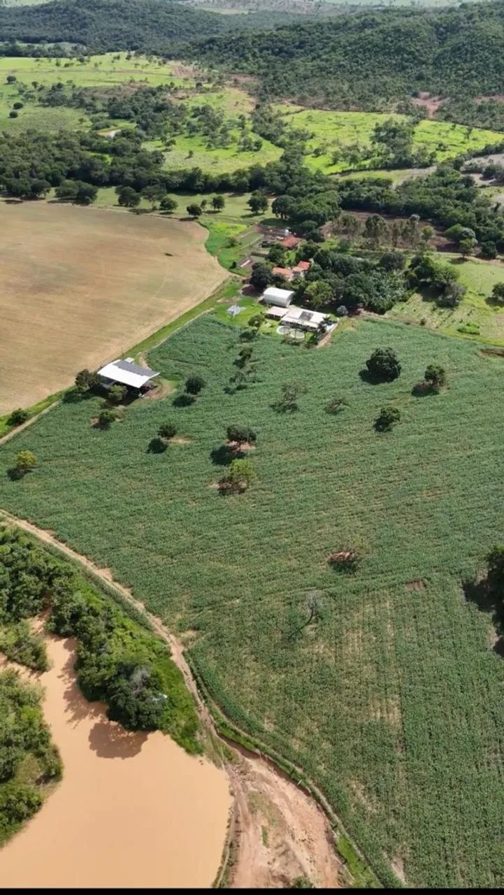 FAZENDA ESPETACUAR À VENDA - 580 HECTARES - UNAÍ - MG - Foto 3