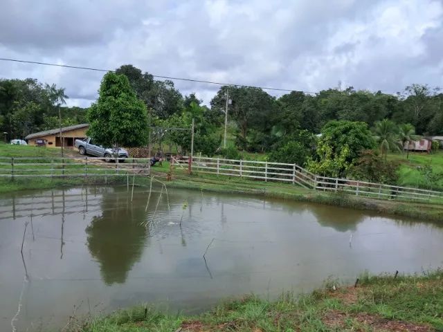 Sitio com Crianção de tambaqui e hortaliças 