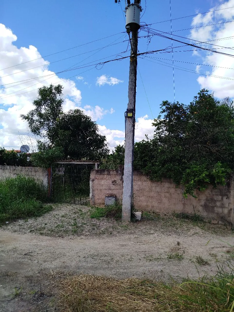 SITIO LOCALIZADO EM ALAGOINHAS BR 101, POVOADO MANGUEIRA