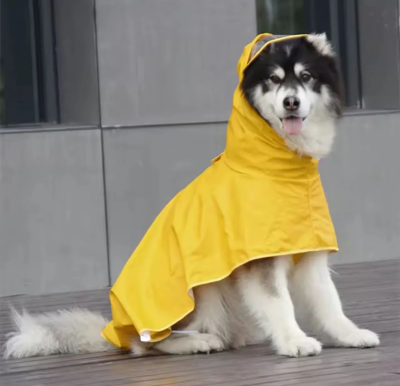 Capa de Chuva Premium para Cães Grandes 