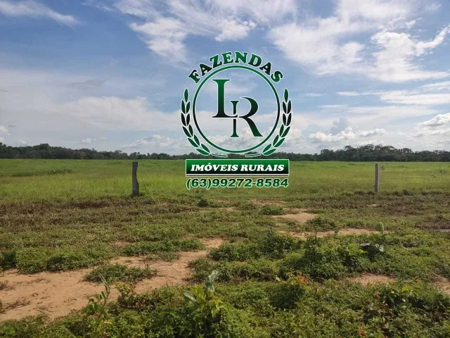 Fazenda 150 alqueires, Dupla Aptidão.