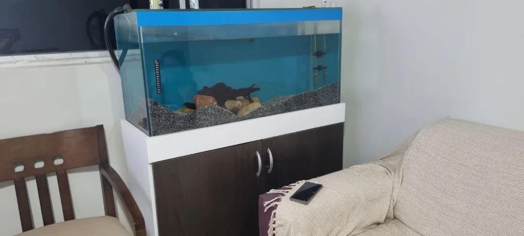 Aquario completo - Foto 4