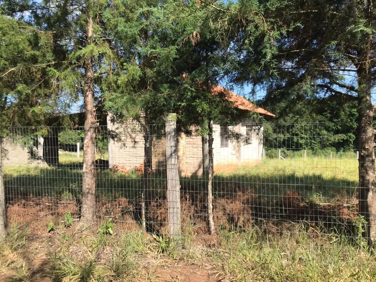 Venda - Foto 3