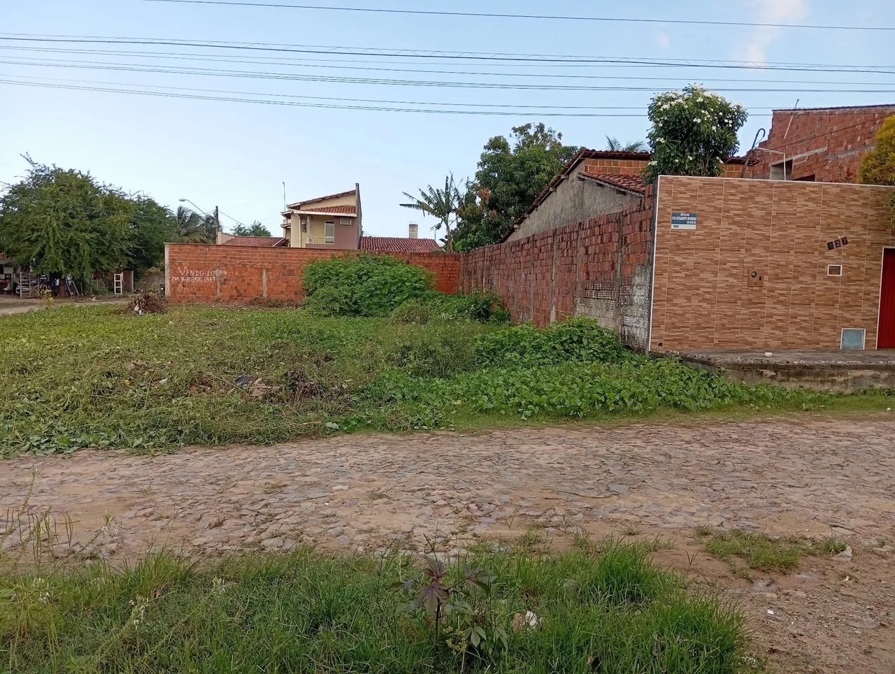 Terra boa