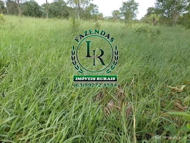 Fazenda 30 alqueires Próximo Palmas TO