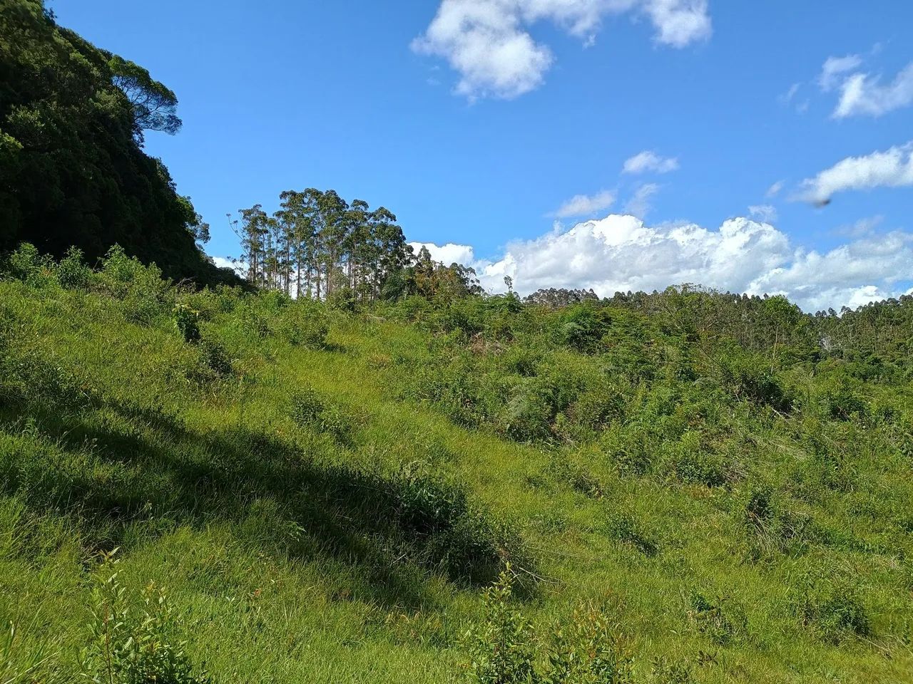 ANITÁPOLIS/SC - Oportunidade de investimento próximo a Serra geral - Foto 3