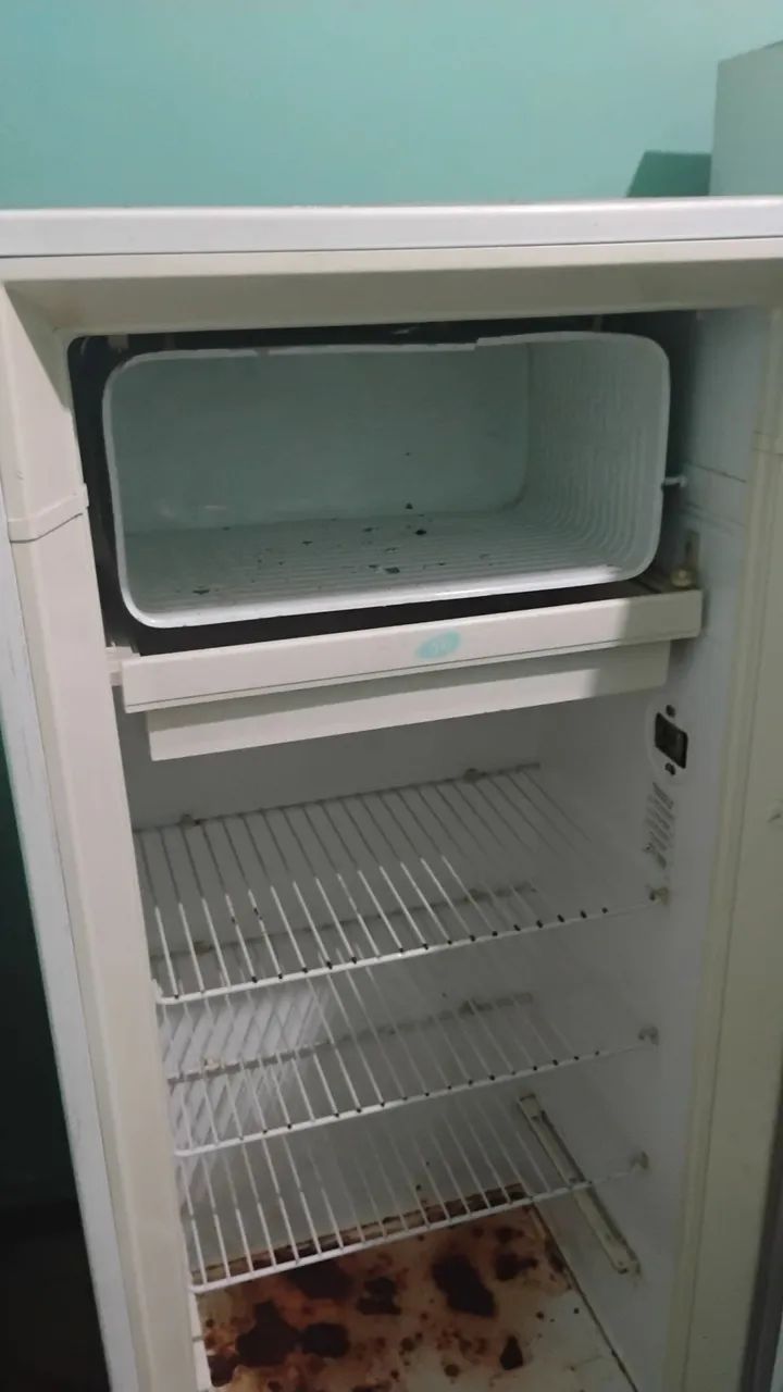 Geladeira Electrolux com pintura artística - Foto 3