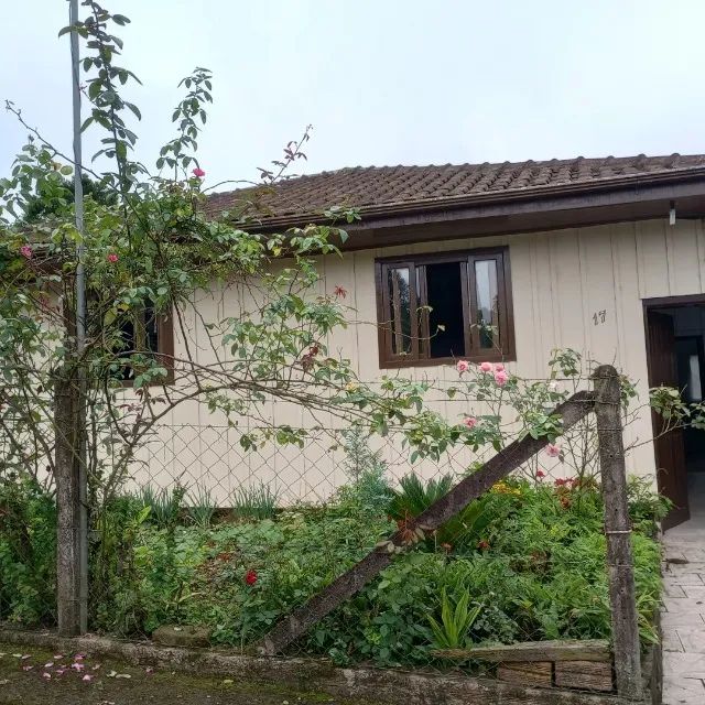 Foto - São Bento do Sul - Progresso
