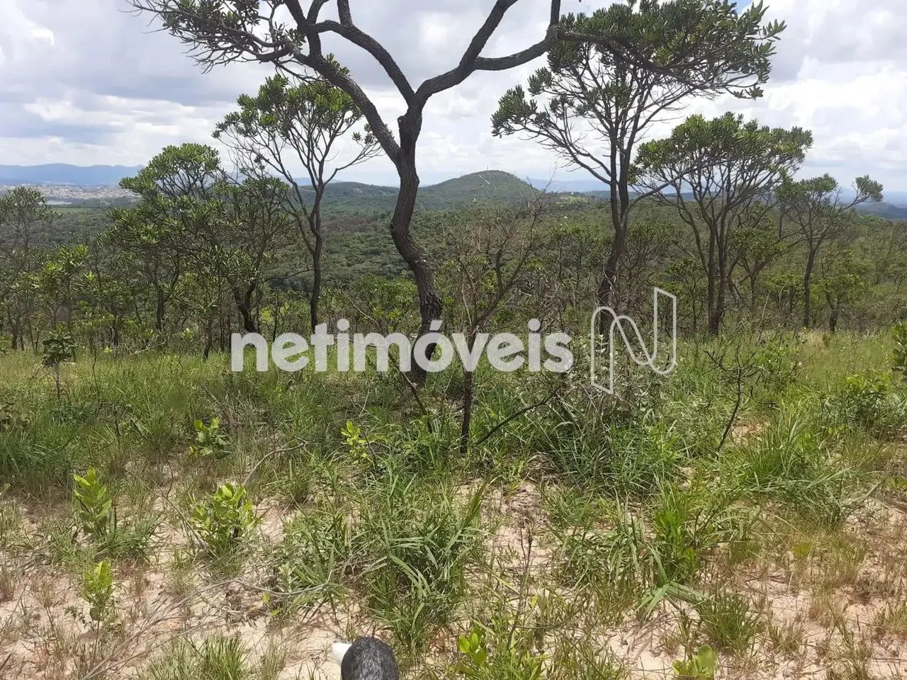 Venda Lote-Área-Terreno Área Rural de Betim Betim - Foto 4