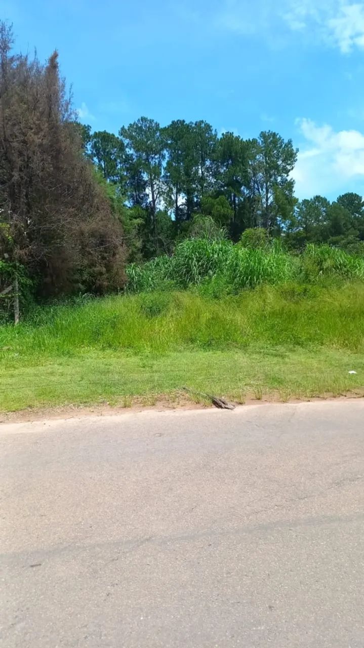 Terreno à venda no bairro Parque Centenário com área disponível e 0 dormitórios/quartos. - Foto 5