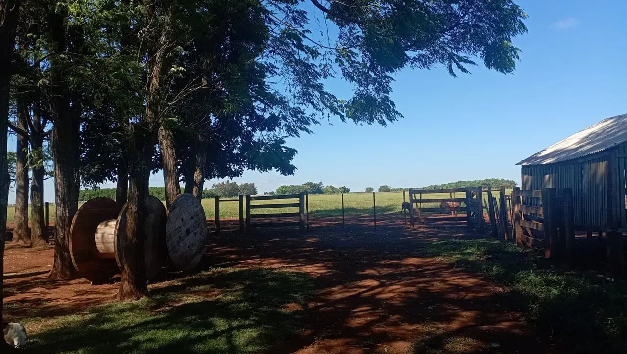 CÓD199  Chácara 10 ha | Indubrasil  Campo Grande/MS - Foto 3