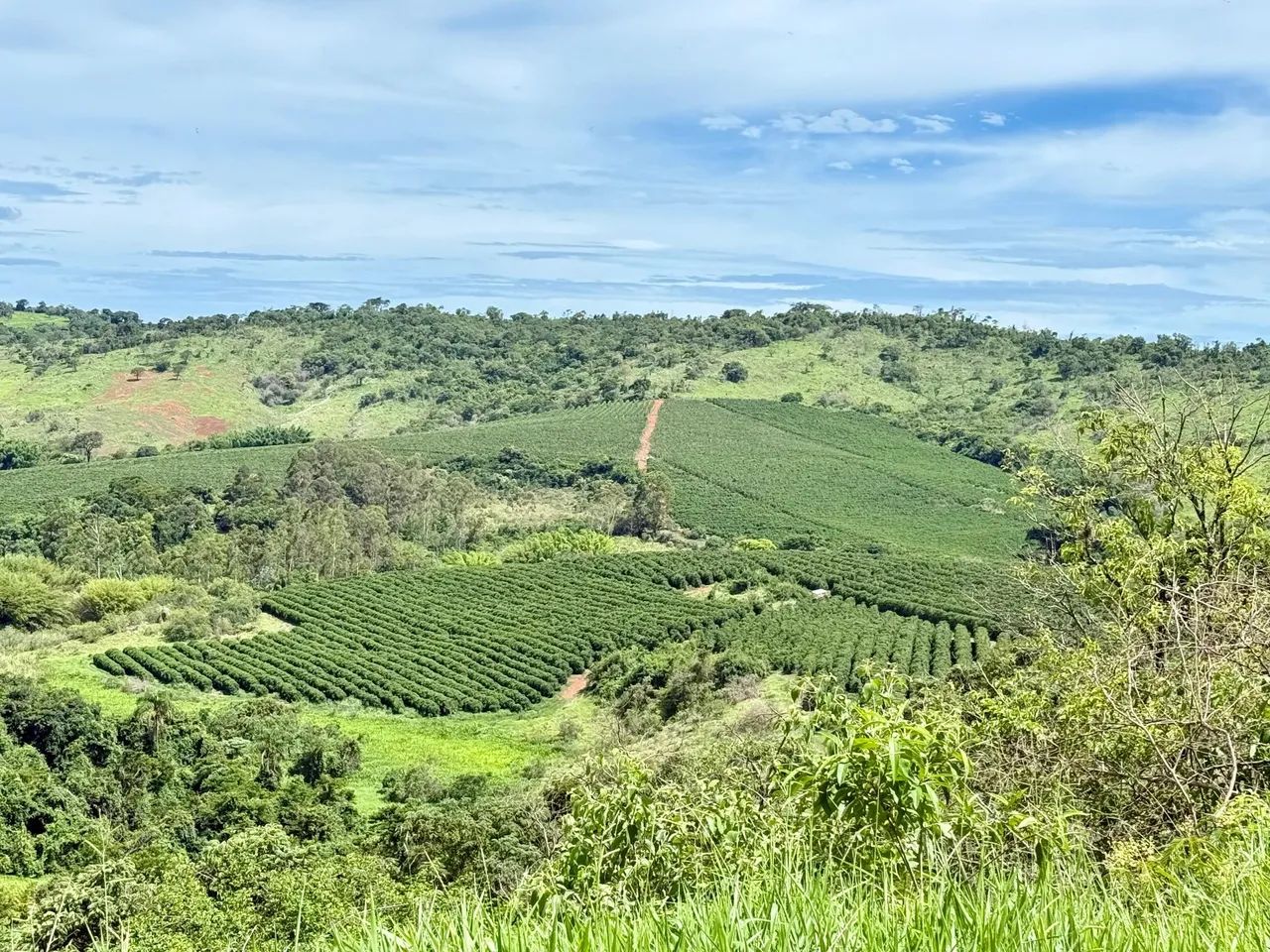 Fazenda de Café e Gado em Bom Sucesso - Minas Gerais - Foto 5