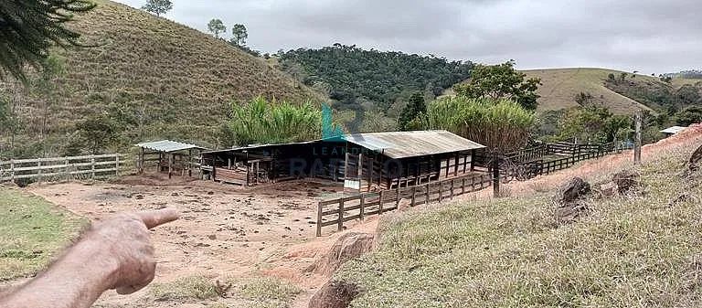 SÍTIO FORMADO COM ESTRUTURA PARA LEITE E CORTE EM LORENA-SP - Foto 5