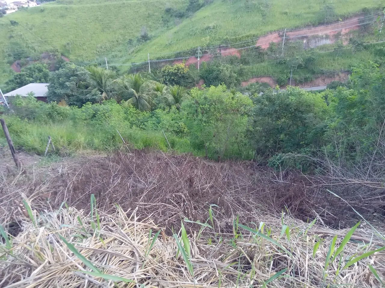 Terreno no vila rica - Foto 3