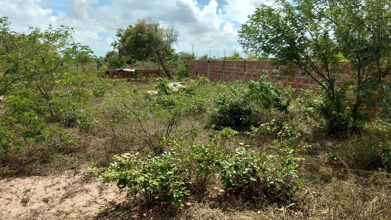 Terreno em São Gonçalo do Amarante  - Foto 2