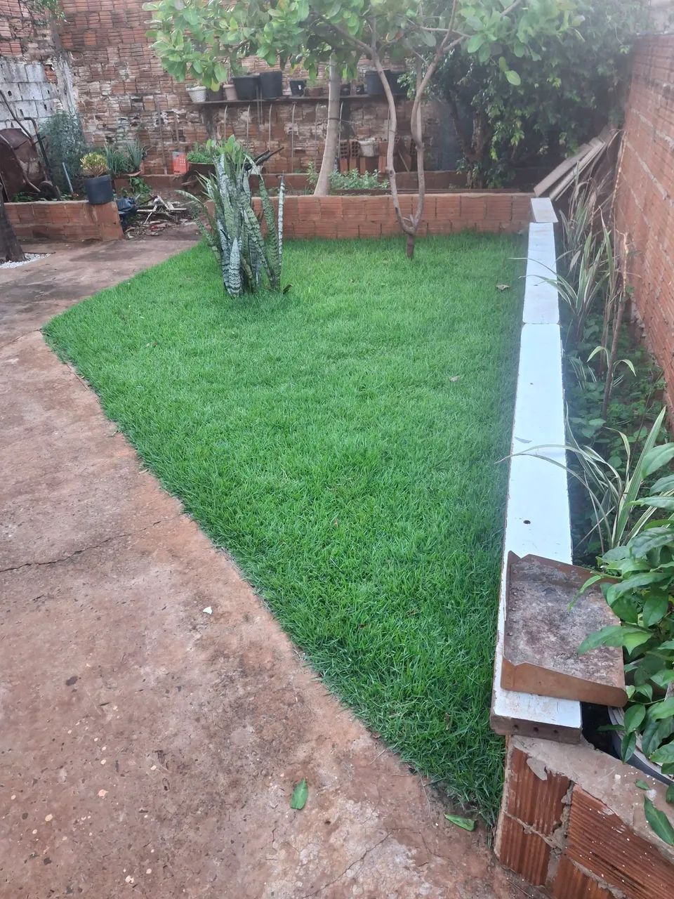 JARDINEIRO  - Foto 4