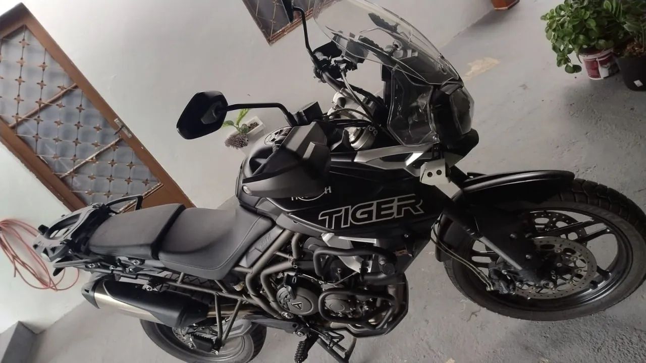 Tiger 2018
