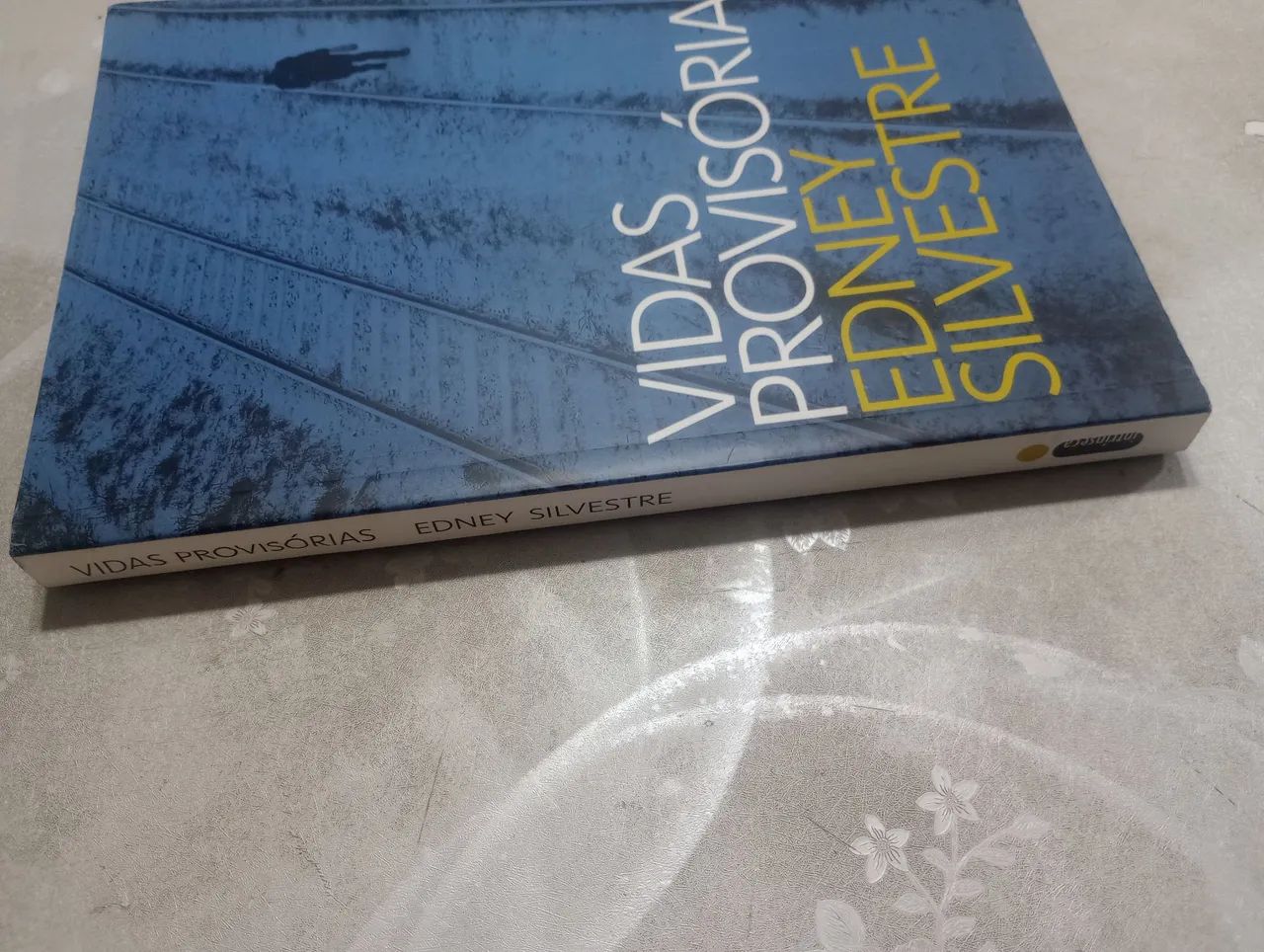 Livro Vidas Provisórias  - Foto 2