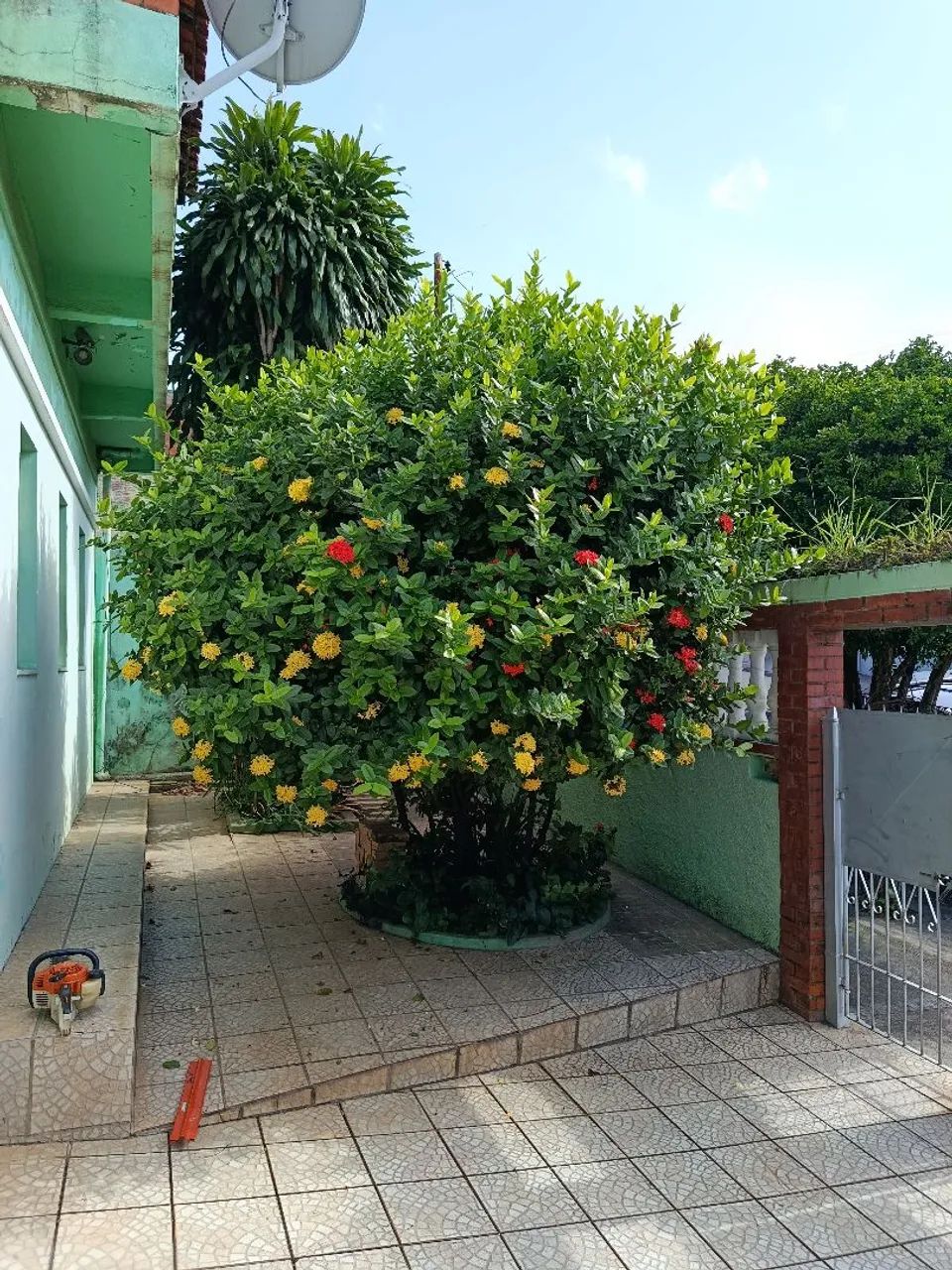 Jardinagem  - Foto 2