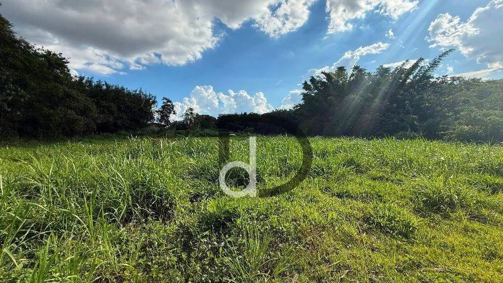 Terreno no Pinheiro a venda em Vinhedo/SP - Foto 3